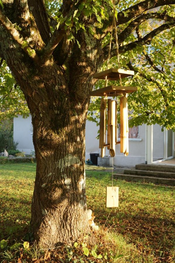 Bed and Breakfast La Montagne Sud Allemans Екстер'єр фото