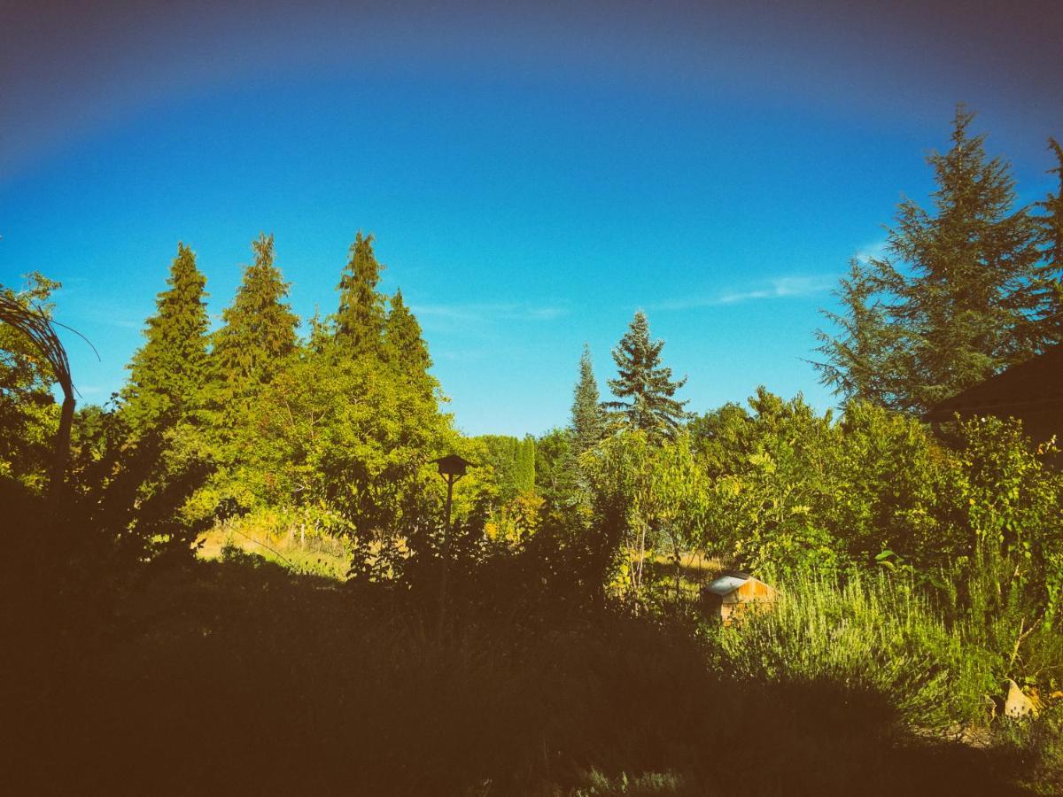 Bed and Breakfast La Montagne Sud Allemans Екстер'єр фото